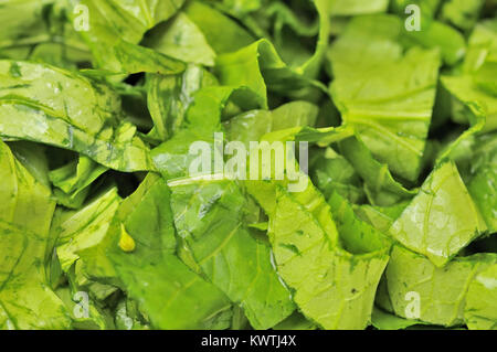 Closeup Schuß von frisch geschnittenem Gemüse als Lebensmittelzutaten. Grüne, grüne Gemüse werden häufig in vielen chinesischen Küche gefunden. Stockfoto