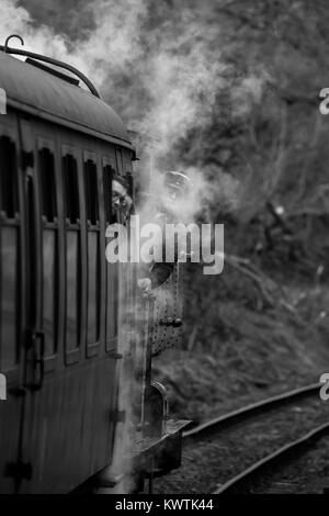 Schwarz & Weiß Portraitfotos von sich bewegenden Dampfzug auf Erbe Bahnstrecke. Der Fahrer steht auf Fußplatte, lehnte sich aus Loco, verdeckt von Dampf. Stockfoto