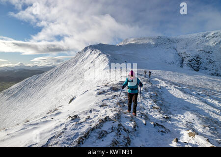 Wanderer auf Skalen fiel mit dem Blick auf den Gipfel von Blencathra, Lake District, Cumbria, UK. Stockfoto