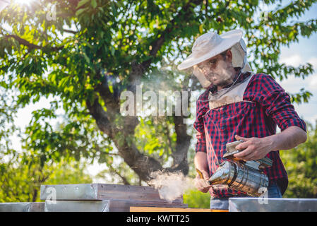 Kontrolle der Imker seine Bienen und Bienenstöcke und mit Rauchen pot Stockfoto