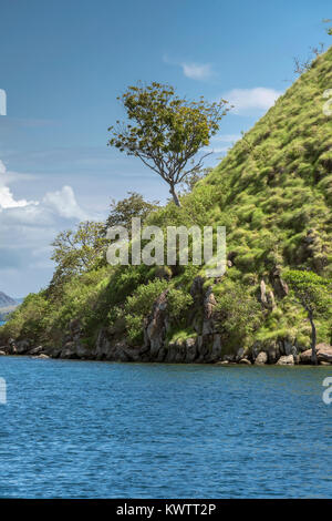 Felsen und Vegetation auf einer kleinen unbewohnten Insel in der Nähe der Insel Rinca, Flores, Indonesien Stockfoto