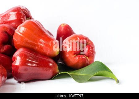 Red Water rose Apple auf weißem Hintergrund Stockfoto