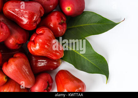 Red Water rose Apple auf weißem Hintergrund Stockfoto