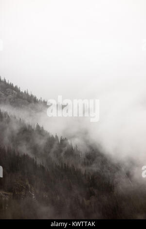 Dichter Nebel und Wolken bewaldeten Berghang in Norwegen. Stockfoto