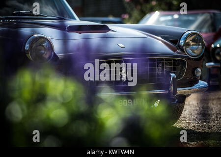 Classic & Oldtimer auf dem Display während der Concours der Eleganz in Hampton Court Palace Stockfoto