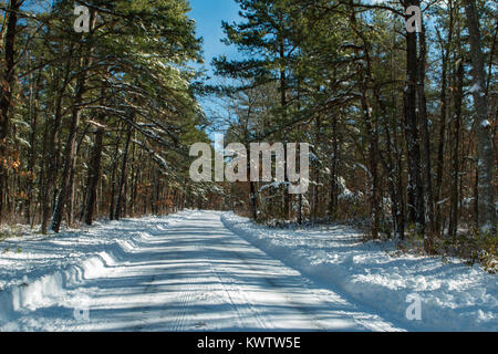 Verschneite Straße in New Jersey Pine Barrens Stockfoto