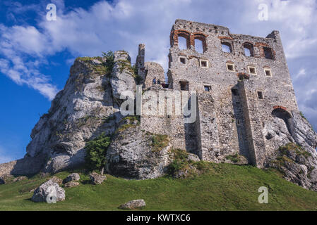 Ogrodzieniec Schloss in Podzamcze Dorf, Teil der Adler schloss System in der Woiwodschaft Schlesien im südlichen Polen Stockfoto