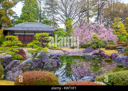 Ninomaru Garten in Schloss Nijo, Kyoto, Japan Stockfoto