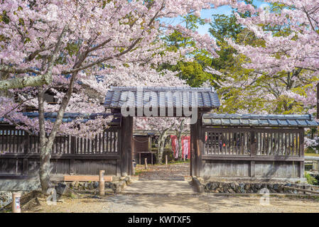 Daikaku-ji-Tempel in arashiyama, Kyoto, Japan Stockfoto