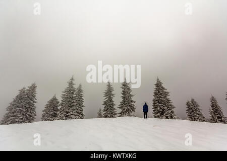 Mann, Wanderer, im Winter schneebedeckte Berge genießen Aussicht Stockfoto