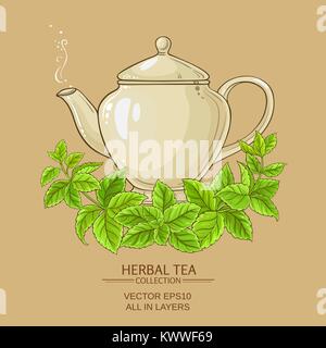 Melisse Tee Teekanne auf farbigen Hintergrund Stock Vektor
