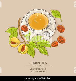 Tasse Muskatnuss Tee auf farbigen Hintergrund Stock Vektor