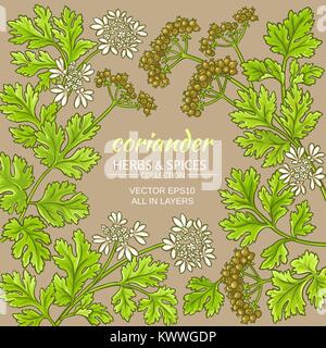 Koriander anlage Vektor Rahmen auf farbigen Hintergrund Stock Vektor