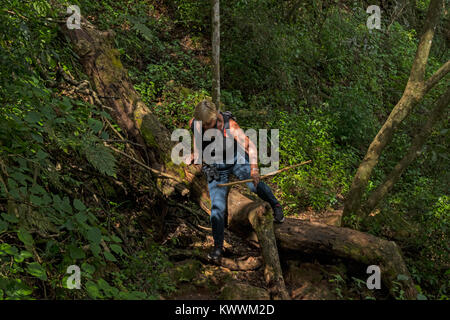 Frau gehen auf die Natur zu Fuß Trail im Bergregenwald mit Stock im Hotel Mount Sheba in der nördlichen Drakensberge, Pilgrim's Stockfoto