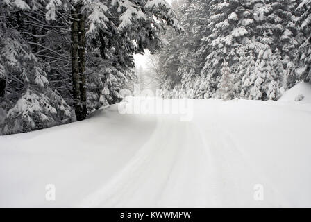 Winter in Aladag plateau Bolu Provinz der Türkei. Stockfoto