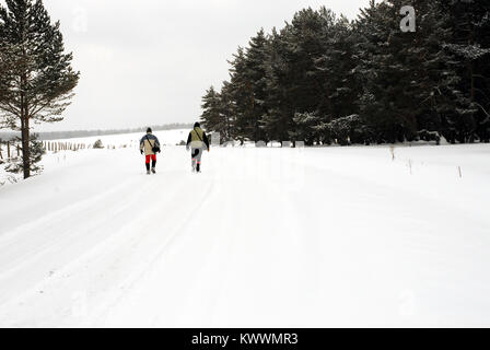 Winter in Aladag plateau Bolu Provinz der Türkei. Stockfoto