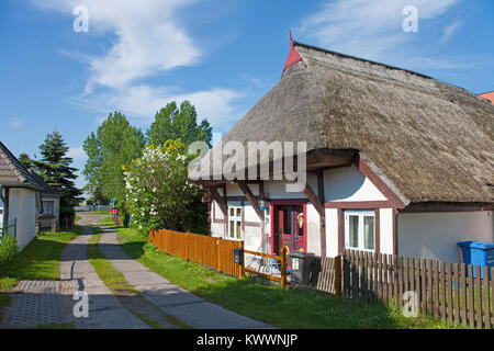 Fachwerkhäuser strohgedeckten Haus in Wustrow, Fishland, Mecklenburg-Vorpommern, Ostsee, Deutschland, Europa Stockfoto