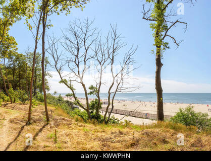 Strand in der Yantarny. Region Kaliningrad. Russland Stockfoto