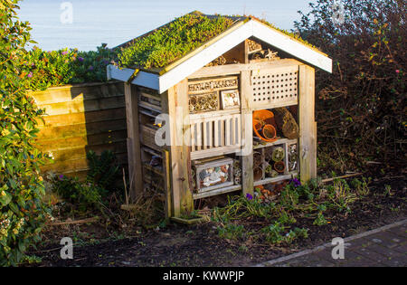 Eine gut konstruierte Mensch gemachten Fehler oder insektenhotels auf der Hauptstraße durch den kleinen Küstenort Groomsport im County Down in Nordirland stationiert, Ir Stockfoto