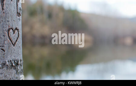 Liebe Herz geschnitzt auf einem Baumstamm und auf den verschwommenen Hintergrund ein Wald Spiegelung an einem See. Stockfoto