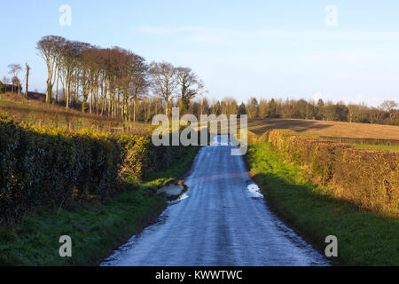 Ein nasser Asphalt Landstraße in Nordirland in die Ferne und flankiert auf beiden Seiten von getrimmte Hecken Weißdorn Stockfoto