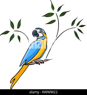 Hand gelb Parrot gezeichnet, Vektor Stock Vektor