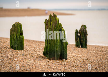 Holz- Stangen auf einen Kiesstrand, am Hafen von Felixstowe, Suffolk, England, UK gesehen Stockfoto