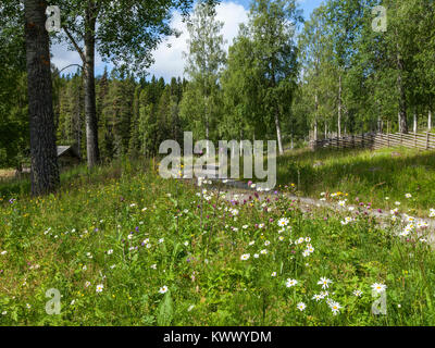 Land straße und Wildblumen in der ländlichen Landschaft. Wiesen entlang der Straße, Straßenrändern. Malerisch. Stockfoto