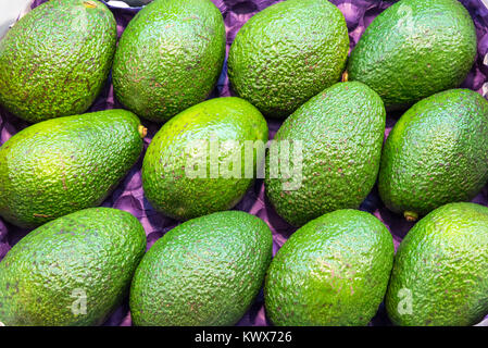 Bündel reif grün Avocados für den Verkauf auf dem Markt Stockfoto