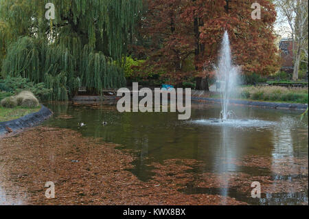 Idylle im Park mit See, Bäume und Laub rund um Stockfoto