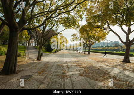 Herbst Tag in den Park Eduardo VII in Lissabon, Portugal. Stockfoto