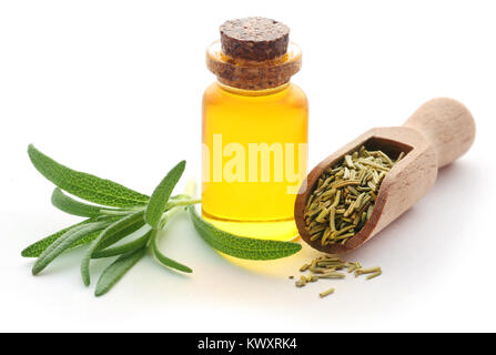 Frische organische Rosmarin mit ätherischen Öl in eine Flasche mit weißem Hintergrund Stockfoto
