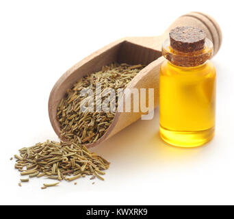 Frische organische Rosmarin mit ätherischen Öl in eine Flasche mit weißem Hintergrund Stockfoto