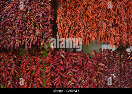 Getrocknete rote Chilis hängen auf einem Markt in der Mercado dos Lavradores, Funchal, Madeira, Portugal Abschaltdruck Stockfoto