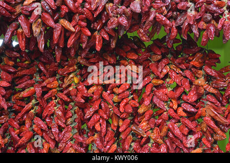 Getrocknete rote Chilis hängen auf einem Markt in der Mercado dos Lavradores, Funchal, Madeira, Portugal Abschaltdruck Stockfoto