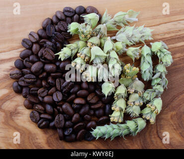 Kaffeebohnen und Griechischer Bergtee in Yin und Yang Symbol in der Olive Platte geformt Stockfoto