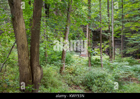 Eine Beförderung Straßenbrücke über die pocantico Fluss durch einen Wald von grünen Bäumen. Rockefeller State Park, New York Stockfoto