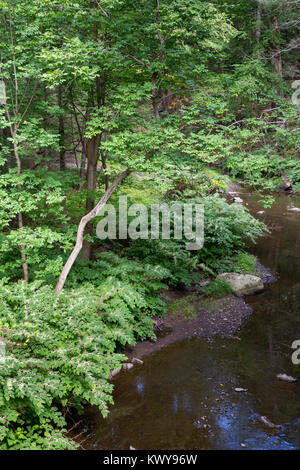 Die pocantico Fluss schlängelt sich durch dichten Wald Vegetation. Rockefeller State Park, New York Stockfoto