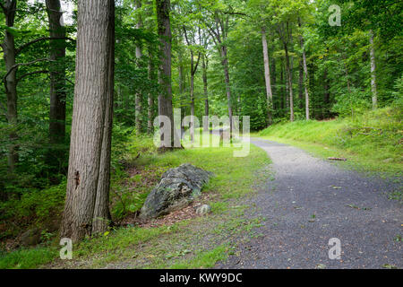 Ein kies Weg schlängelt sich durch einen grünen Wald in den Hudson River Valley. Douglas Park, New York Stockfoto