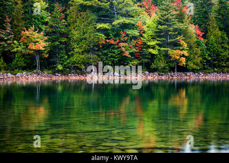 Seicht und klar Jordan Teich in Acadia Nationalpark mit Bäume im Herbst. Stockfoto
