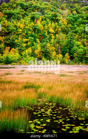 Herbstliche Farben auf dem Tarn im Acadia National Park. Stockfoto