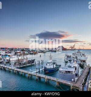 Neuseelands größte Hafen in Tauranga, Bay of Plenty, mit Mount Maunganui, den schlafenden Vulkan die Bereich im Hintergrund dominiert. Stockfoto