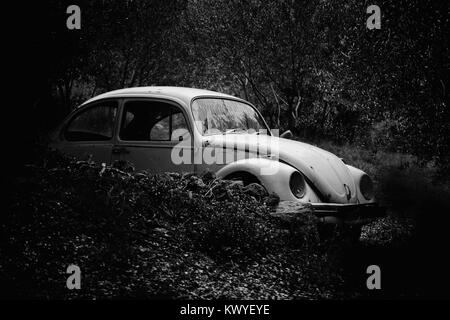 Wrack eines alten und rostigen Auto in den Büschen und unter den Bäumen, ein schwarz-weiß Bild Stockfoto