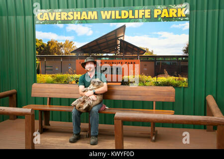 PERTH, Australien - Oktober 13, 2017: Caversham Wildlife Park präsentiert viele einheimische australische Tiere und hautnahe Begegnungen mit über 200 Arten Stockfoto