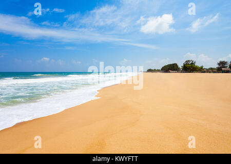 Schönheit Lonely Beach mit gelbem Sand auf Sri Lanka Insel Stockfoto