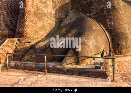 Lion's Paw am Sigiriya Felsen in der Nähe von Dambulla Sri Lankas. Sigiriya ist ein UNESCO-Weltkulturerbe. Stockfoto