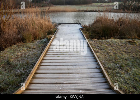 Bishops Stortford, St Michael's Mead, Southern Country Park, Angeln Pontoon, frostigen Morgen Stockfoto