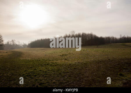 Bishops Stortford, St Michael's Mead, Southern Country Park, frostigen Morgen Stockfoto