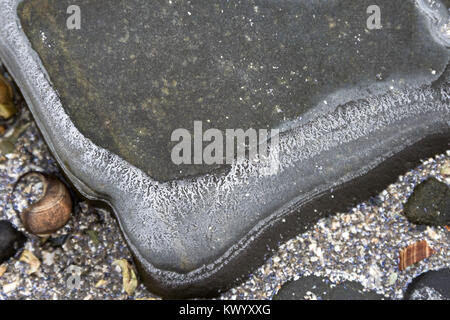 Ringe von Salz Ausfällenden auf Strand Steine als Meer Wasser gefriert und verdunstet, Acadia National Park, Bar Harbor, Maine. Stockfoto