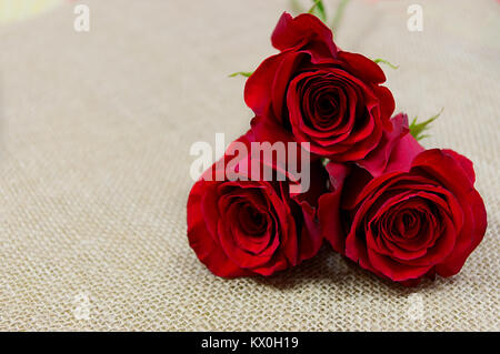 Valentinstag Hintergrund. Februar 14 Schrift auf roten Würfel und Rosen im  Hintergrund Stockfotografie - Alamy